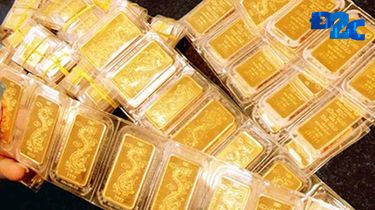 Người mua vàng miếng lỗ 2,4 triệu đồng/lượng chỉ trong 1 ngày