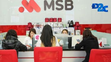 Dưới sự trợ giúp của Ngân hàng MSB, Công ty của đại gia Đinh Trường Chinh “lướt sóng” đất vàng thu lãi nghìn tỷ như thế nào?